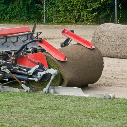 Création de pelouses