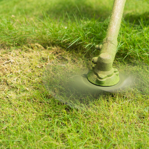 Intervention professionnelle HN Arboriste Habitat