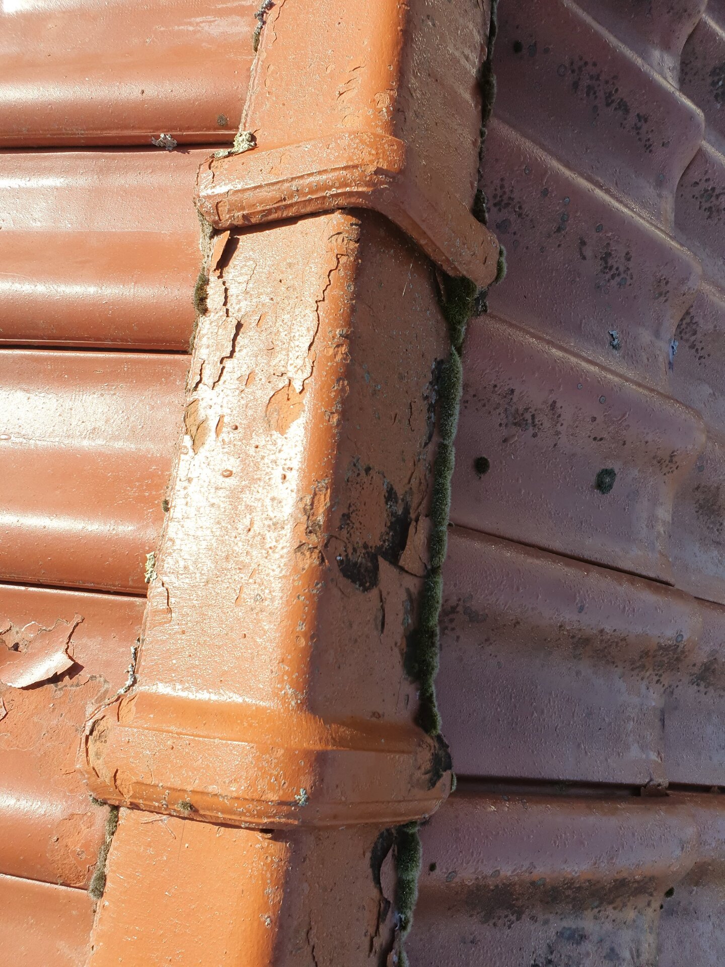 Détail gouttière avec mousse avant nettoyage