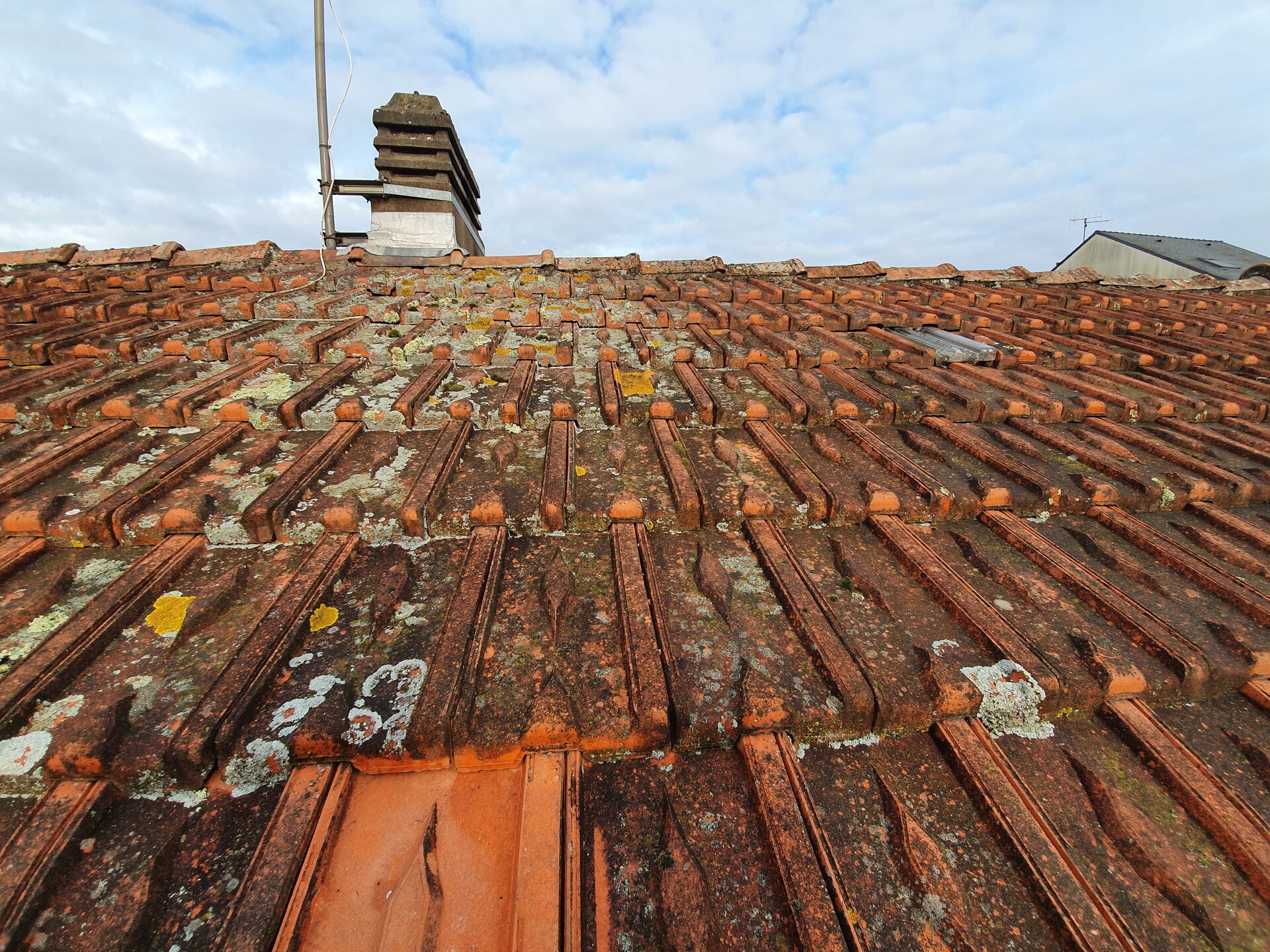 Nettoyage terrasse dalles - Rénovation extérieure