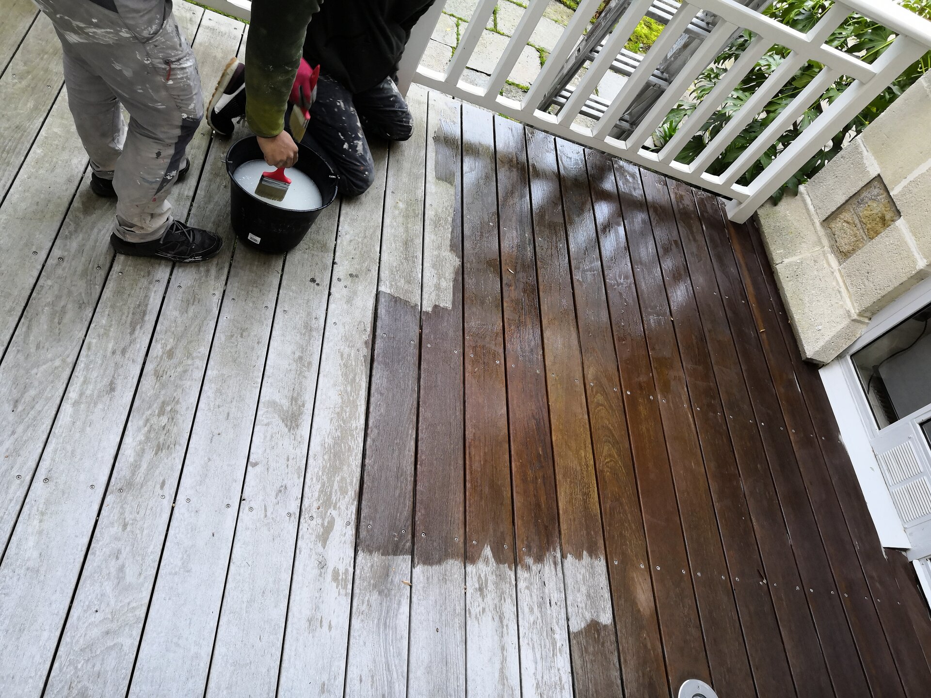 Nettoyage toiture mousse - Élimination complète