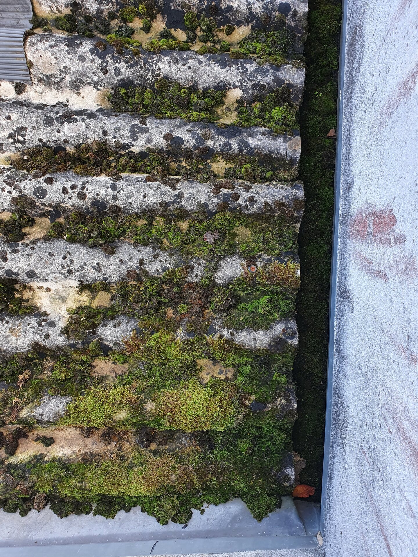 Ravalement façade pierres - Rénovation maçonnerie Nantes