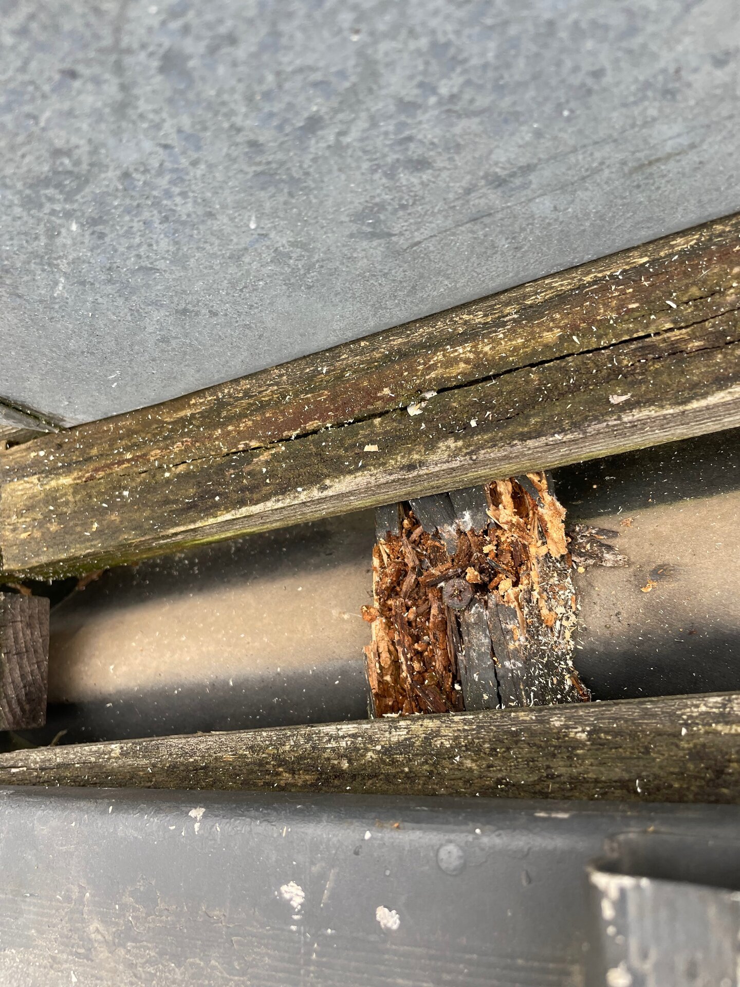 Traitement anti-mousse toiture - Protection durable