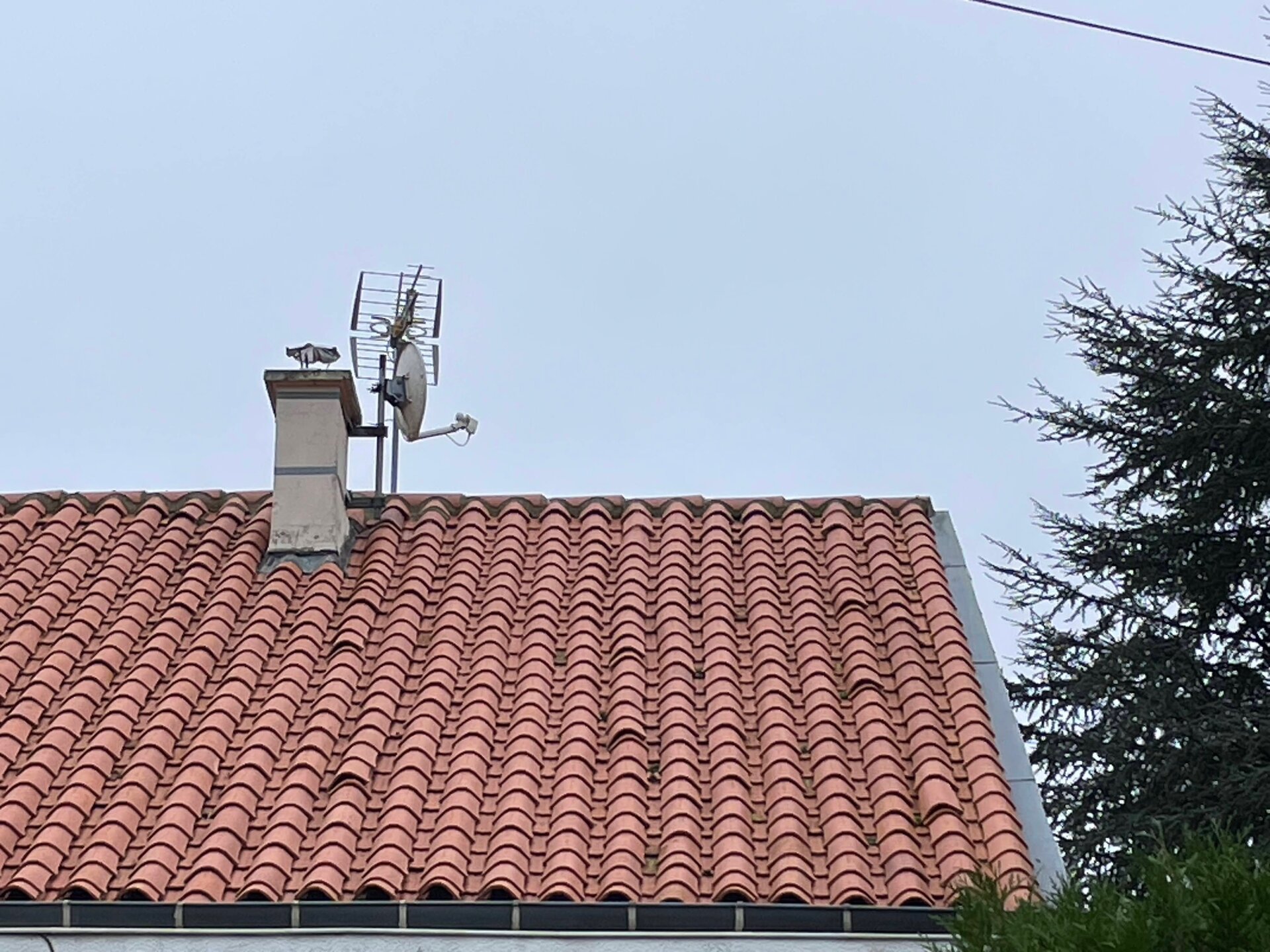 Traitement hydrofuge façade - Imperméabilisation longue durée