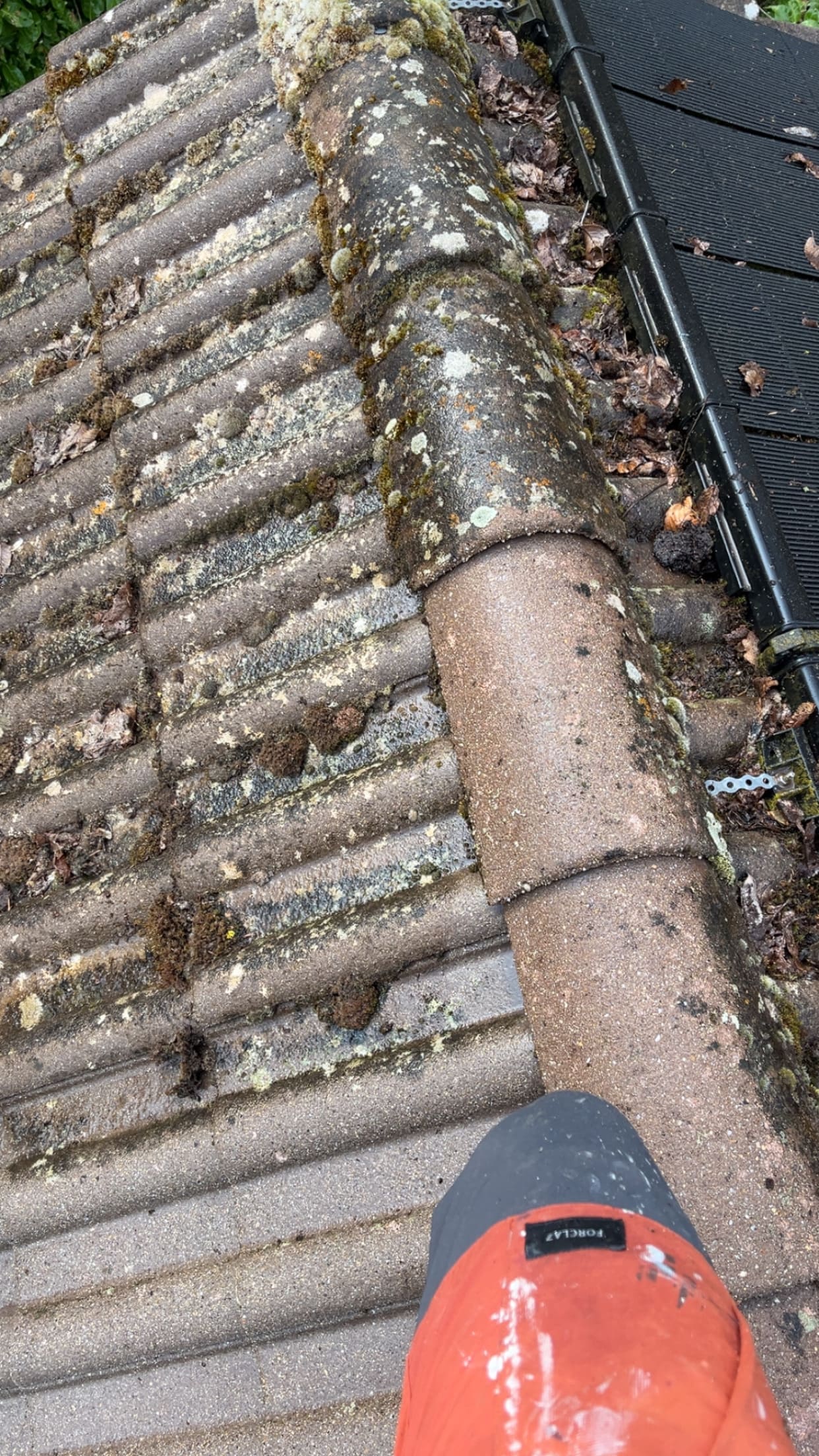 Réparation de toiture - GROS BOIS RENOVATION