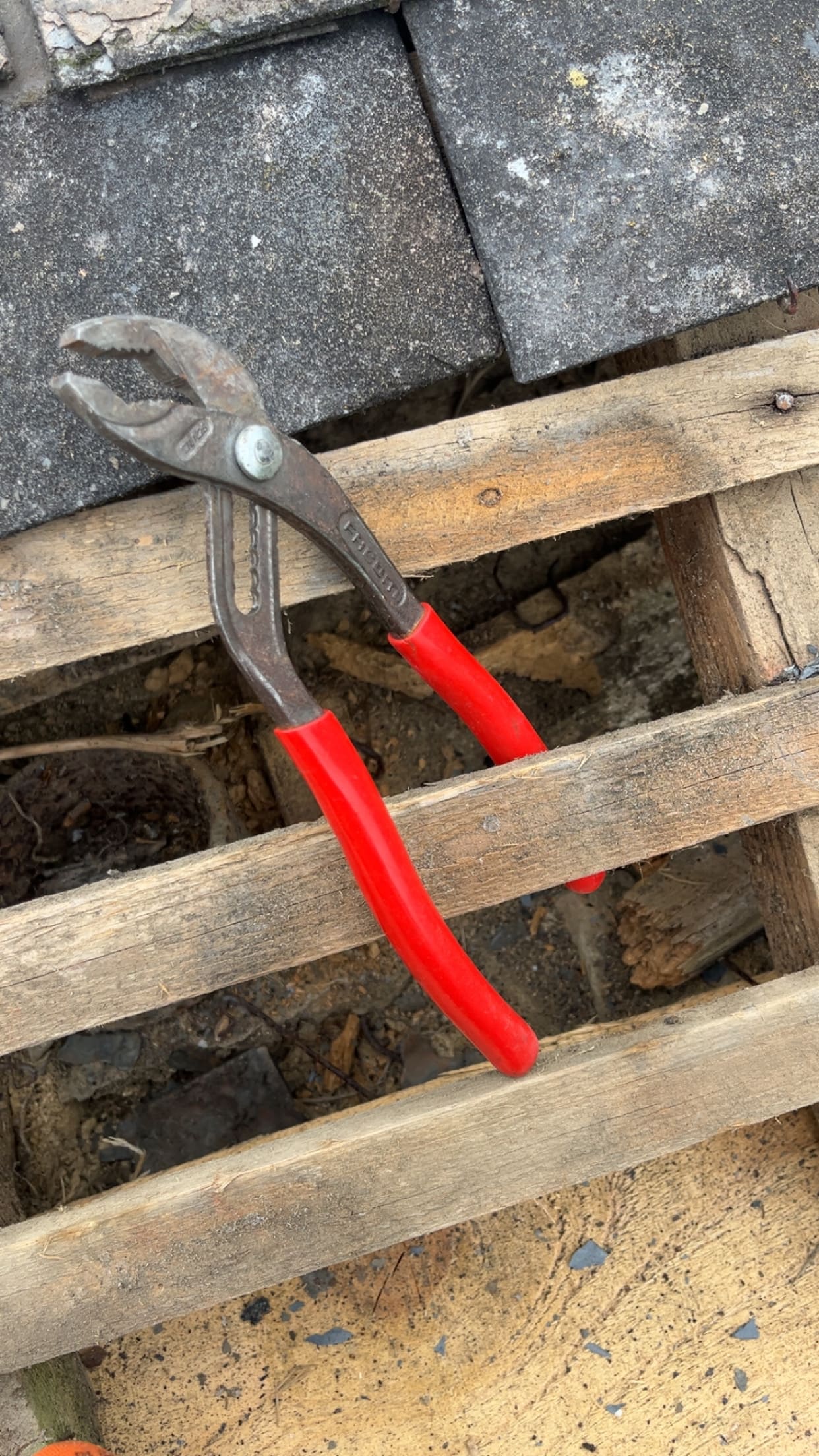 Démoussage de toiture - GROS BOIS RENOVATION