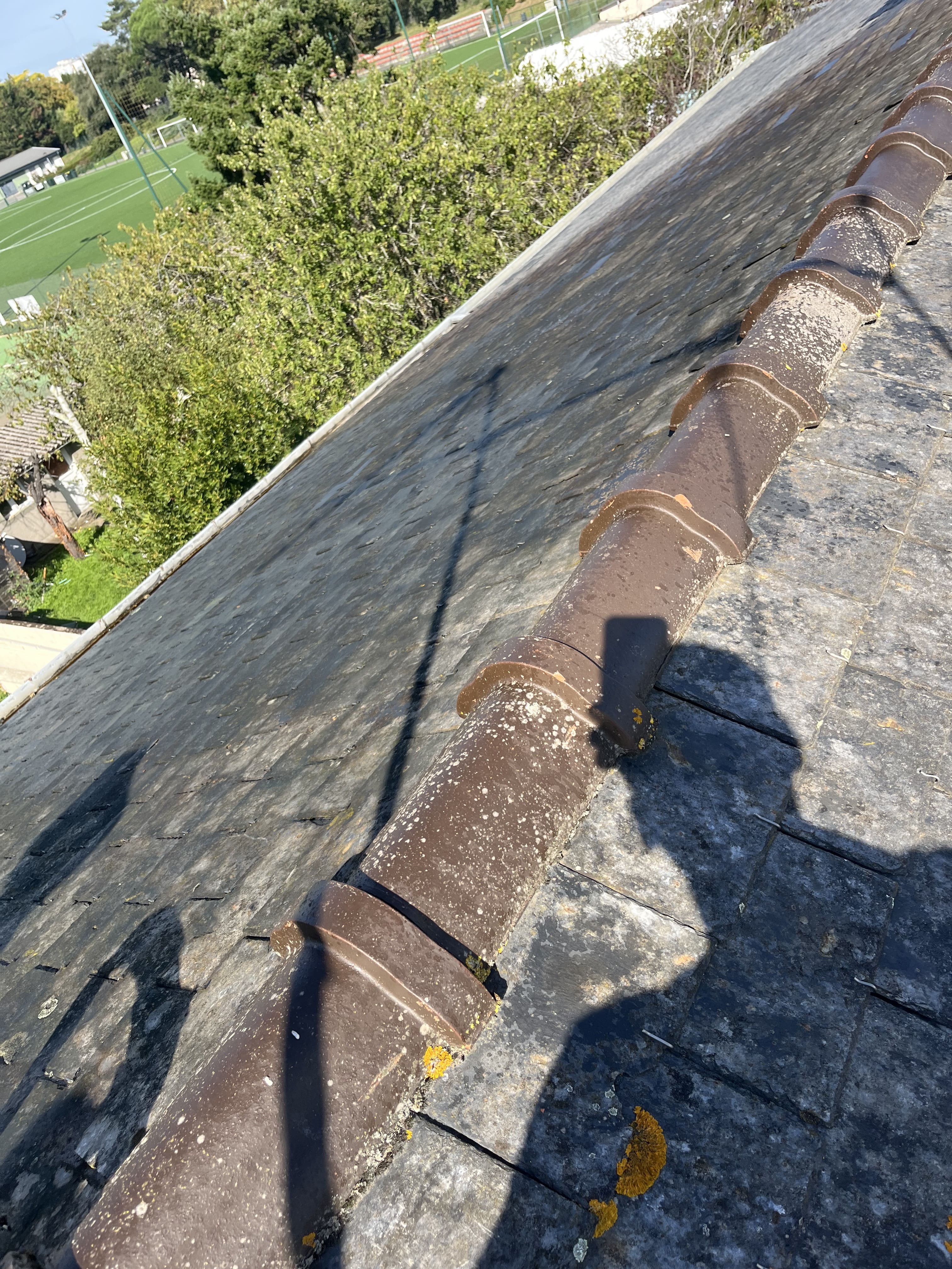 Toiture professionnelle - GROS BOIS RENOVATION