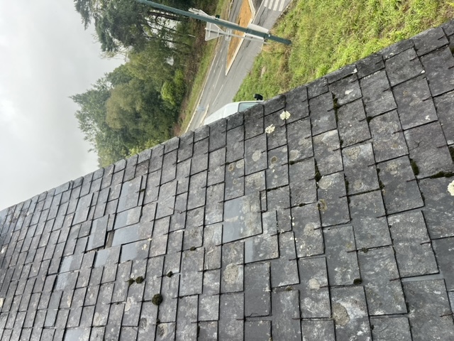 Dépannage toiture - GROS BOIS RENOVATION