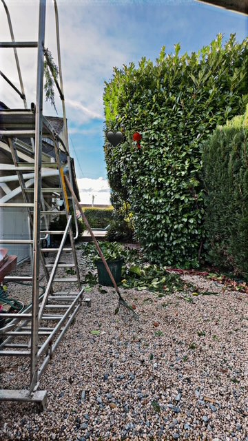 Taille de haie professionnelle par KR PRO ELAGAGE