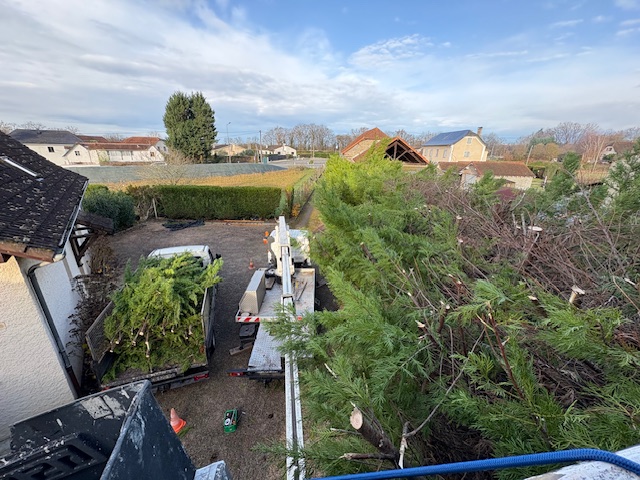 Abattage et évacuation de branches par KR PRO ELAGAGE