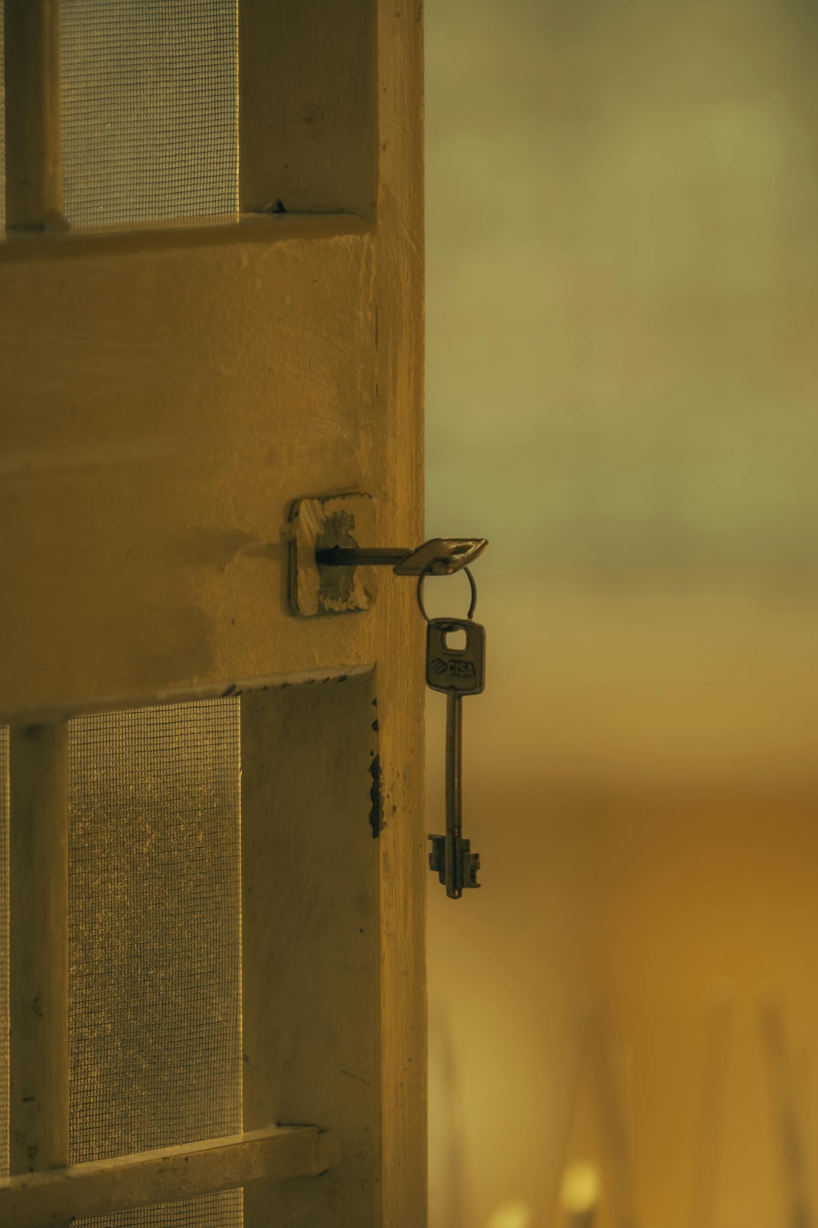 Blindage de porte