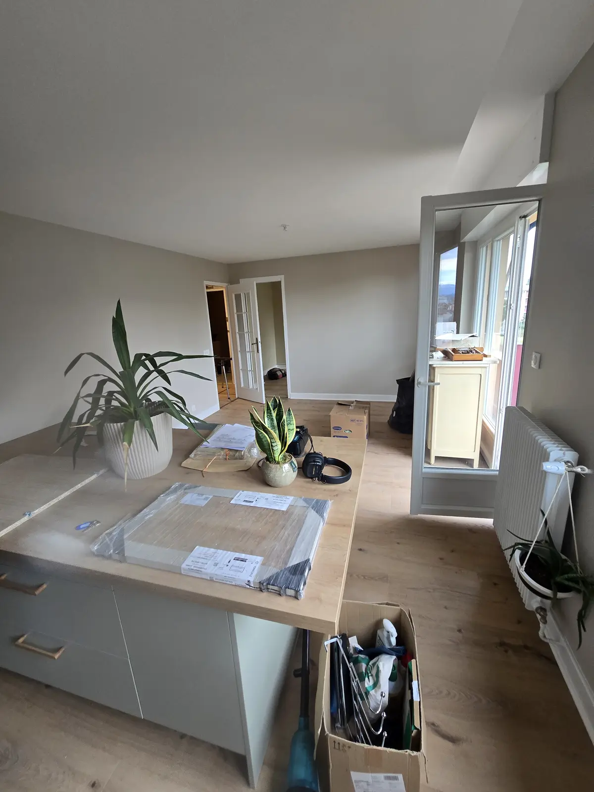 Salon rénové - Peinture murale et parquet posé