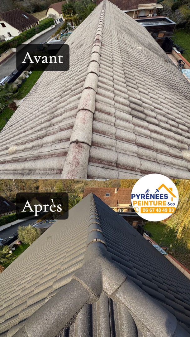 Traitement de toiture - Rénovation complète