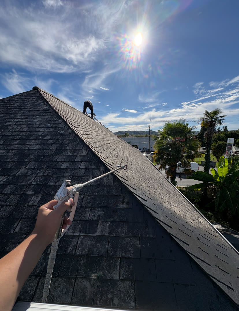 Réalisation Pyrénées Peinture & Co