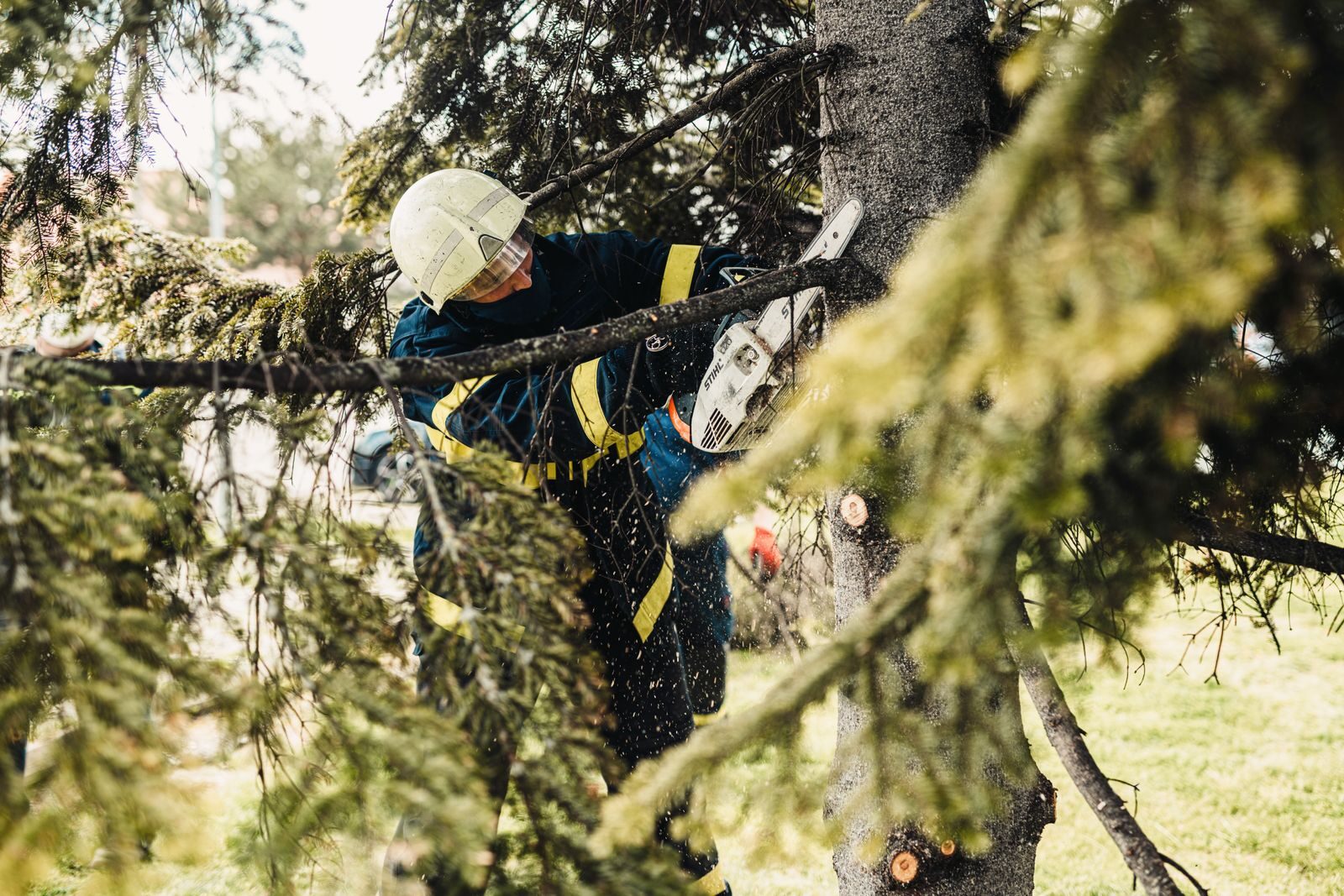 Élagage et taille d'arbres par Nova Terra Habitat à Boisse-Penchot