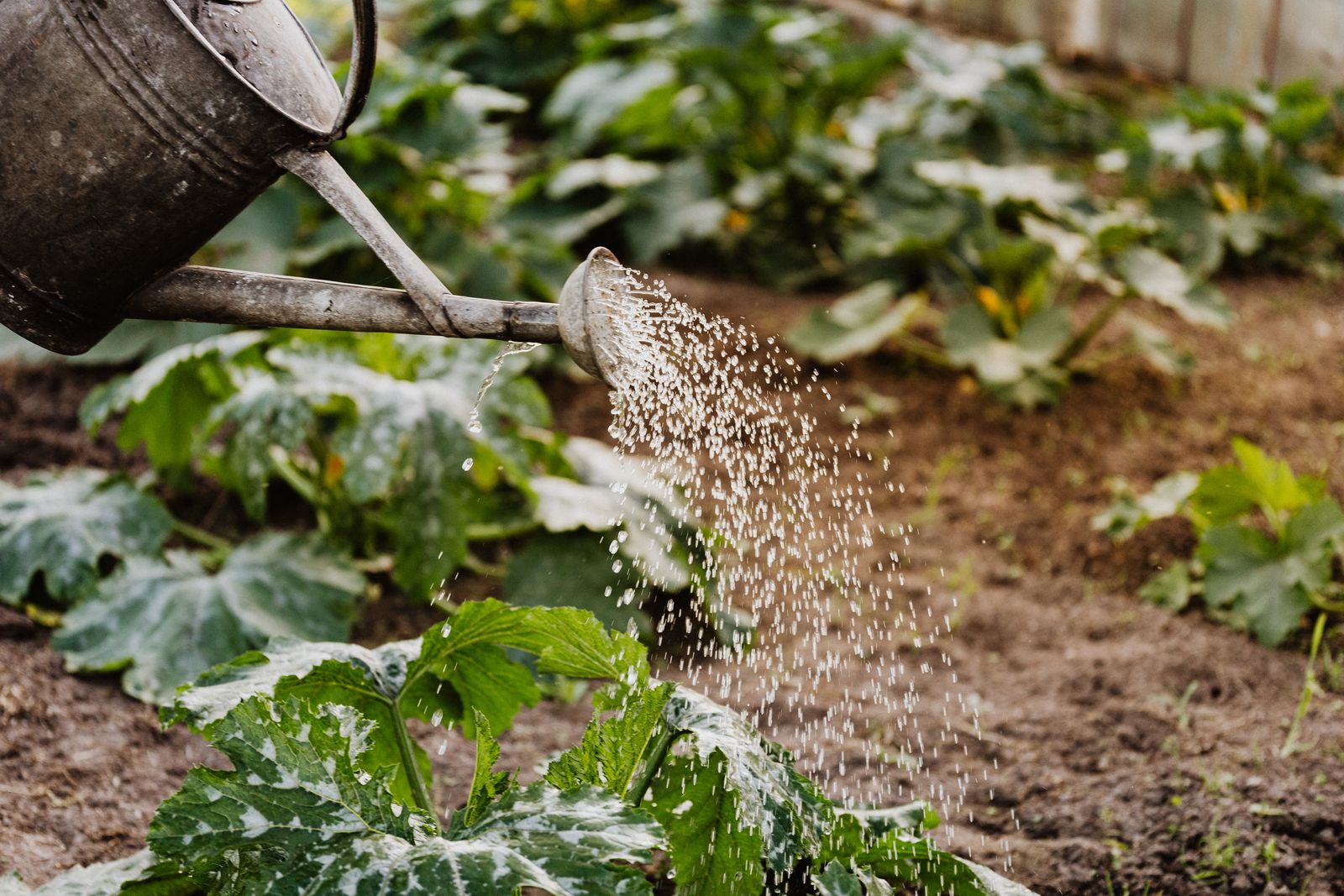 L'entretien de jardin à l'année