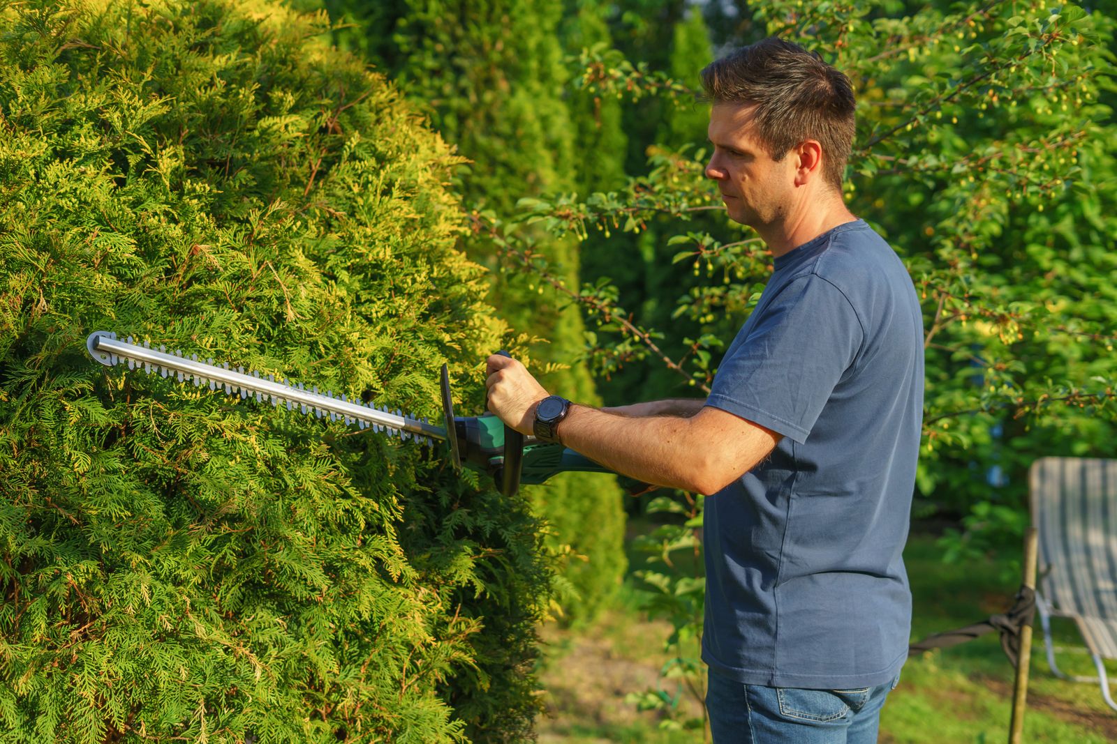 Les Jardins de Geoffrey à Taille de haies et d'arbustes